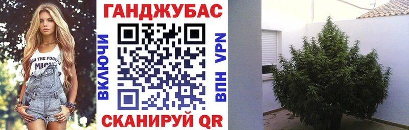 kraken зеркало  Фокино  Каннабис гибрид 
